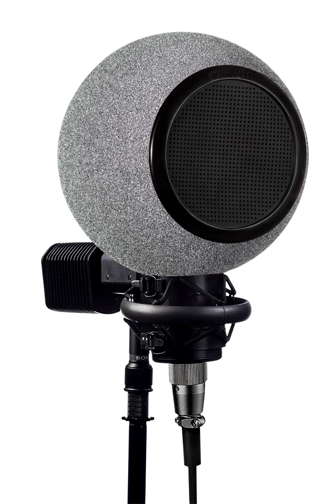 Kaotica 800C | Platinum Silver – Kaotica Kaotica 800C | Platinum Silver – Kaotica