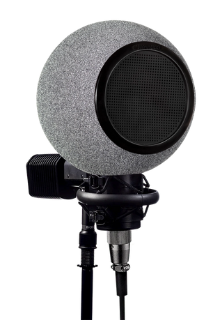 7b | Kaotica Blue – Kaotica 7b | Kaotica Blue – Kaotica