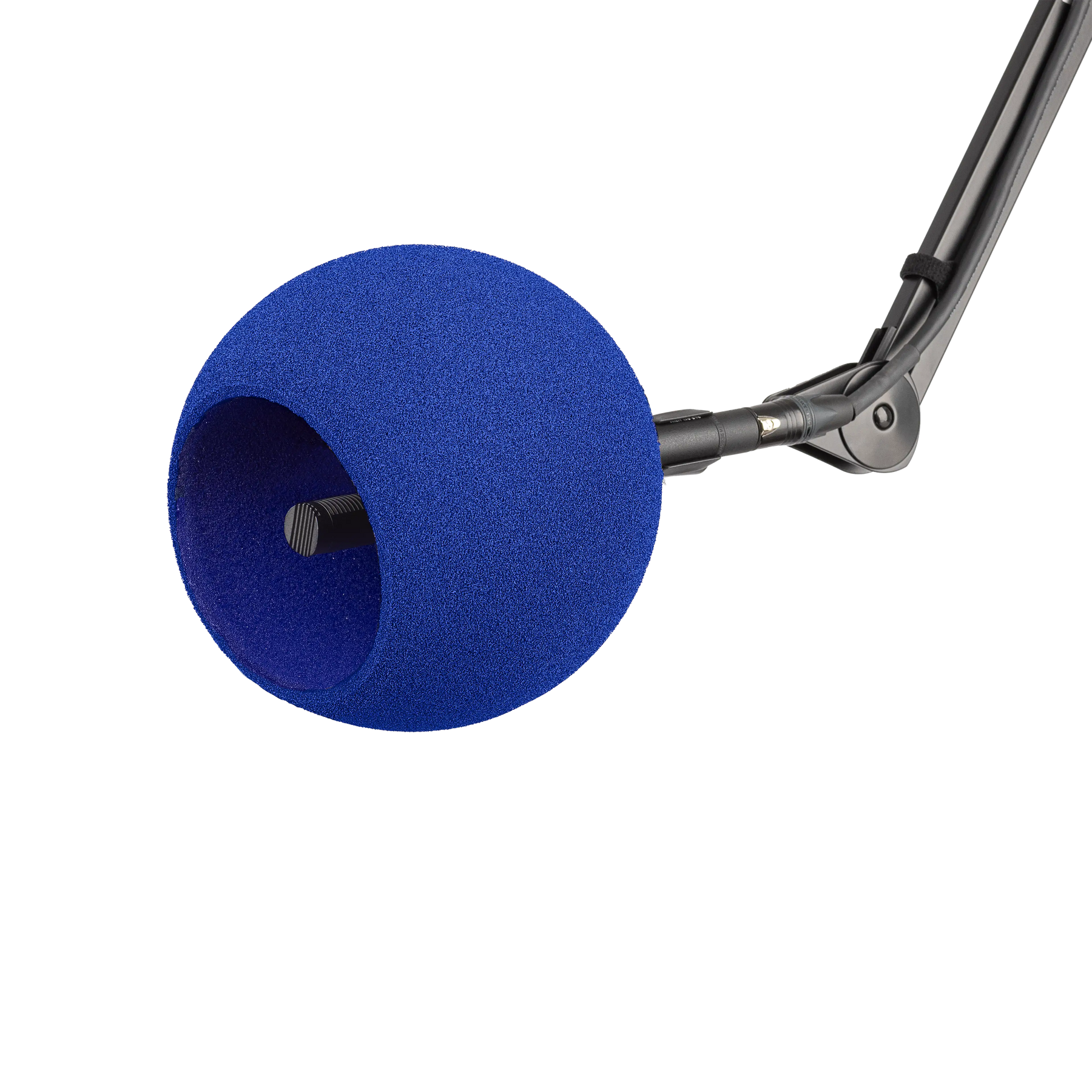 Live | Kaotica Blue – Kaotica Live | Kaotica Blue – Kaotica